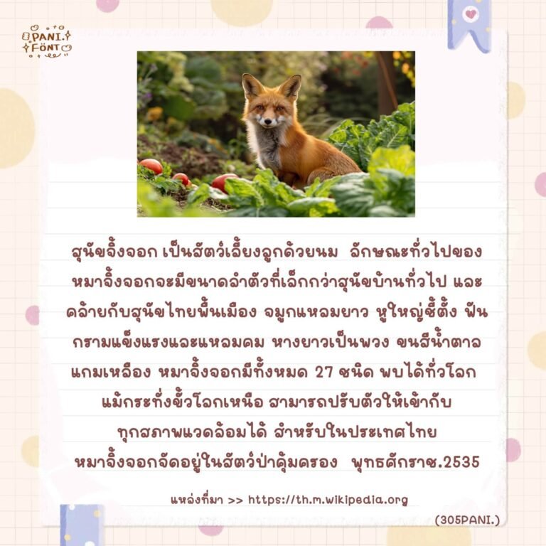 จิ้งจอก (305PANITheFox)