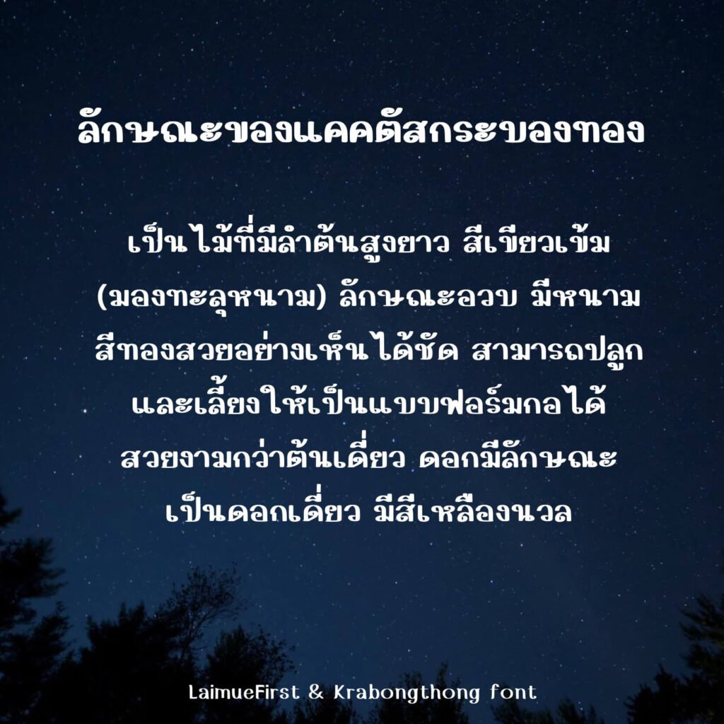 กระบองทอง (Krabongthong)