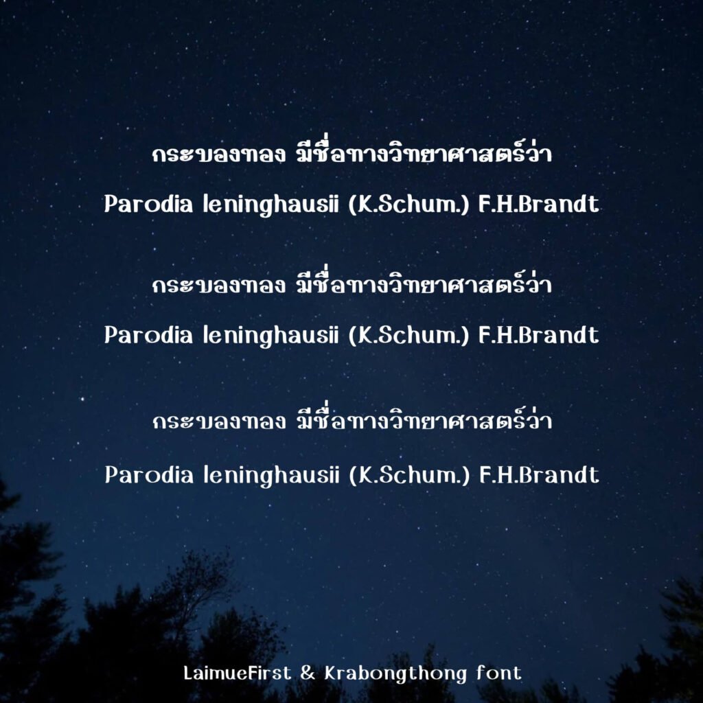 กระบองทอง (Krabongthong)