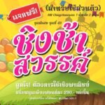 ชิงช้าสวรรค์ (MN Chingchasawan)