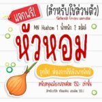 หัวหอม (MN Huahom)