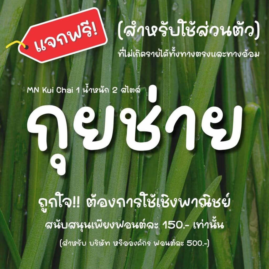 กุยช่าย (MN Kui Chai)