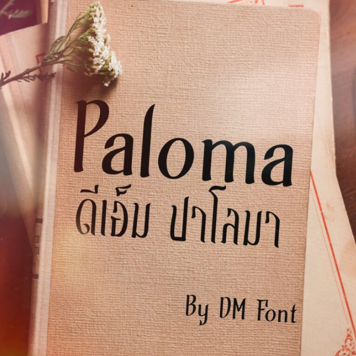 DM Paloma (ดีเอ็ม ปาโลมา)