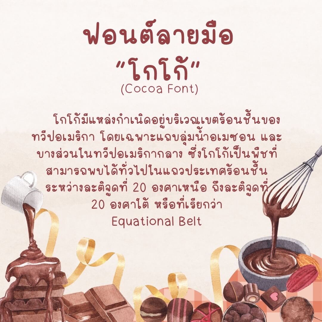 โกโก้ (Cocoa)