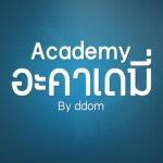 ดีเอ็ม อะคาเดมี่ (DM Academy)