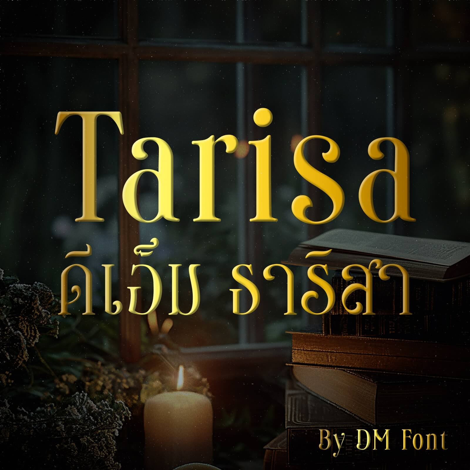 DM Tarisa (ดีเอ็ม ธาริสา)