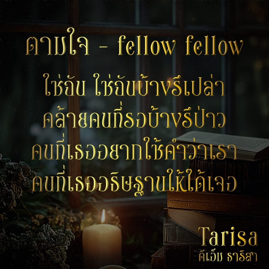 DM Tarisa (ดีเอ็ม ธาริสา)