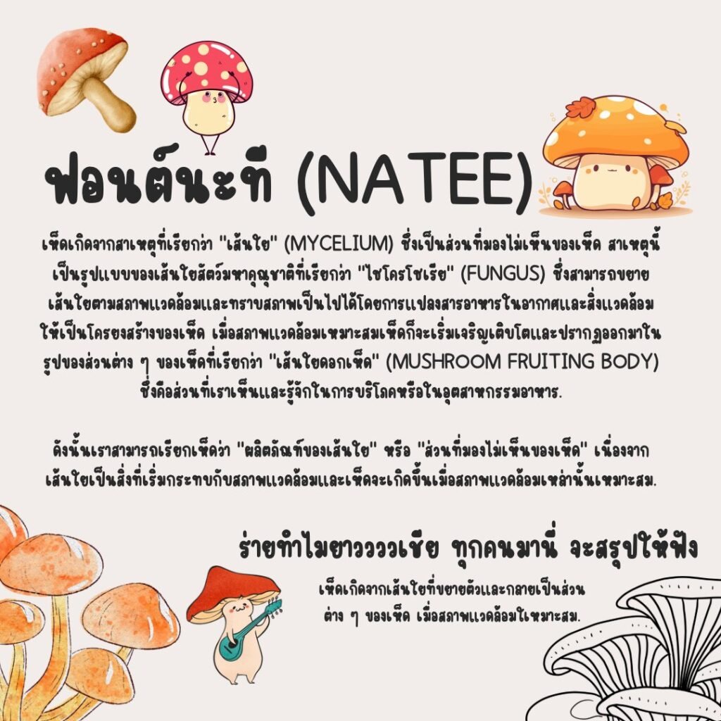 นะที (Natee)