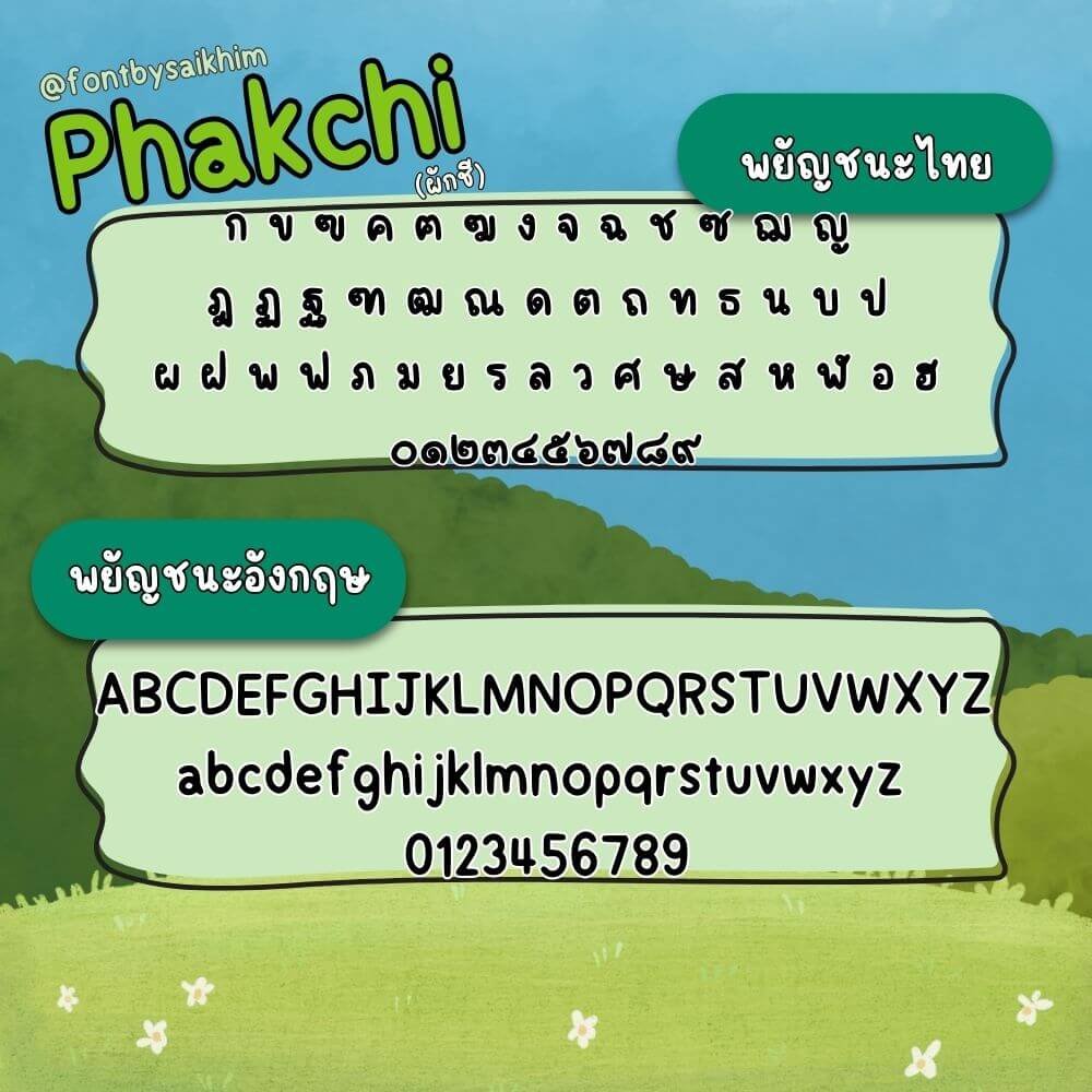 ผักชี (Phakchi)