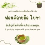 ใบชา (BaiCha)