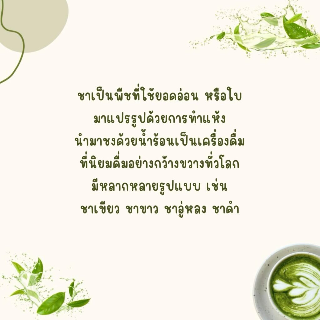 ใบชา (BaiCha)