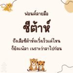 ชีต้าห์ (Cheetah)