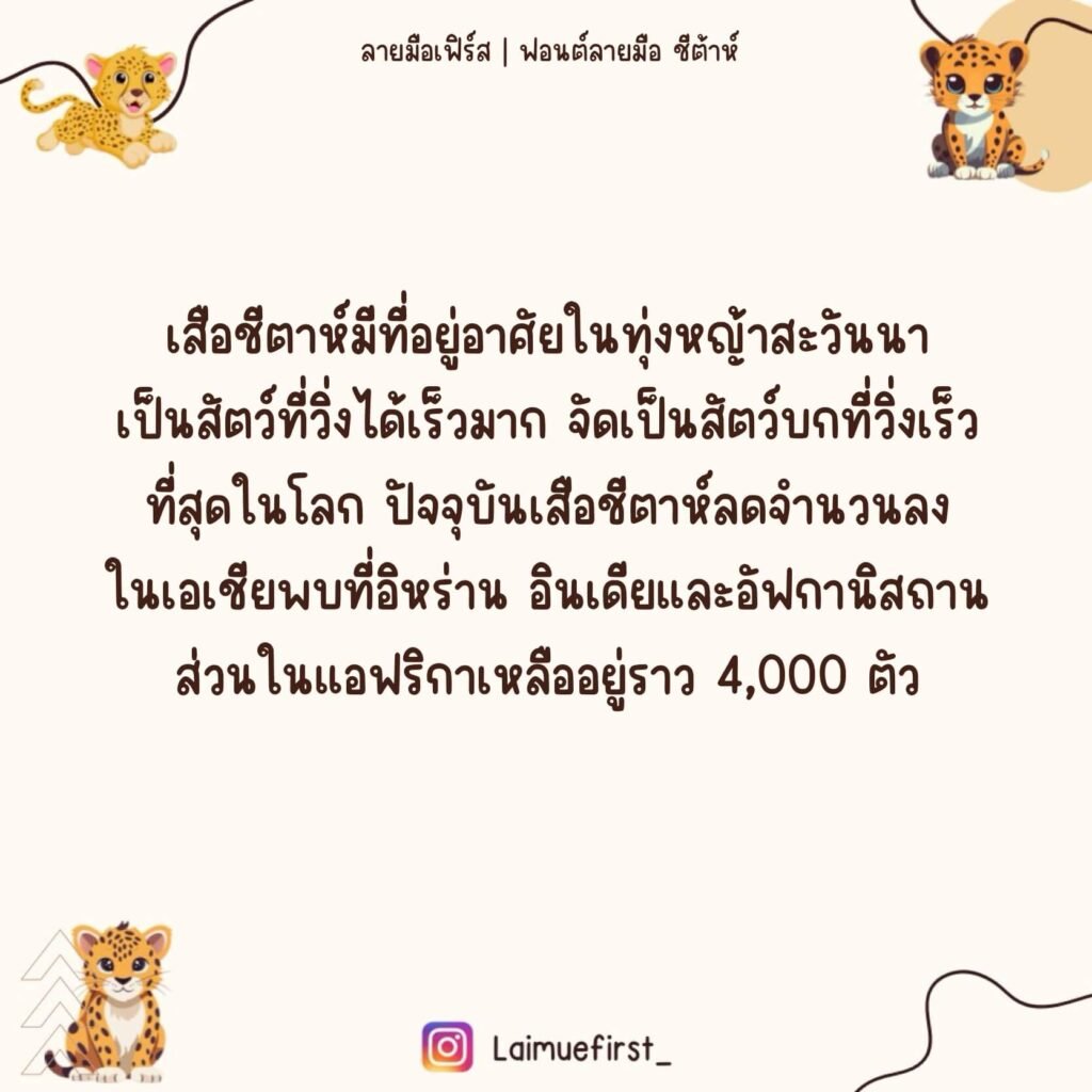 ชีต้าห์ (Cheetah)