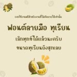 ทุเรียน (Durain)