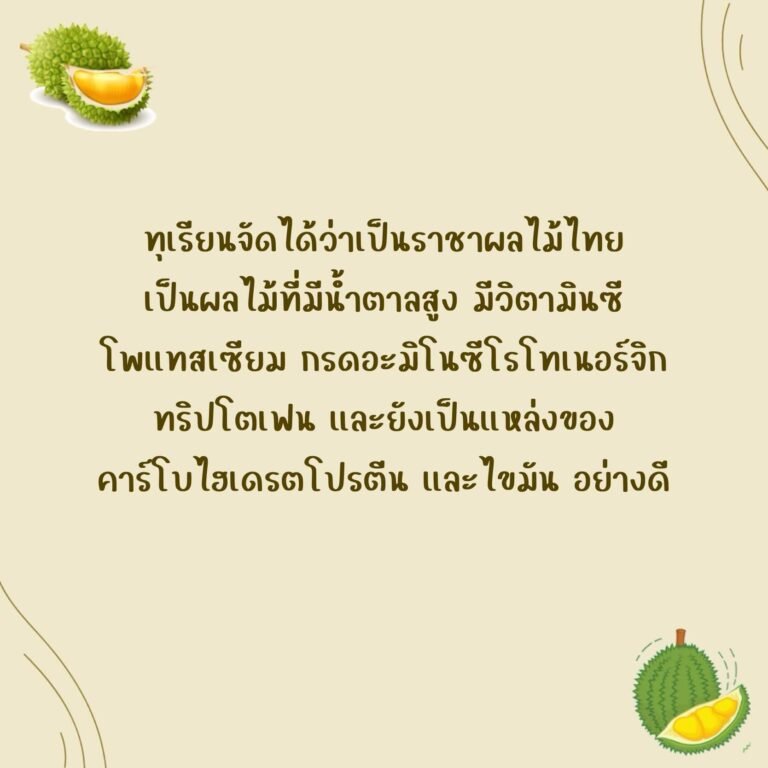 ทุเรียน (Durain)