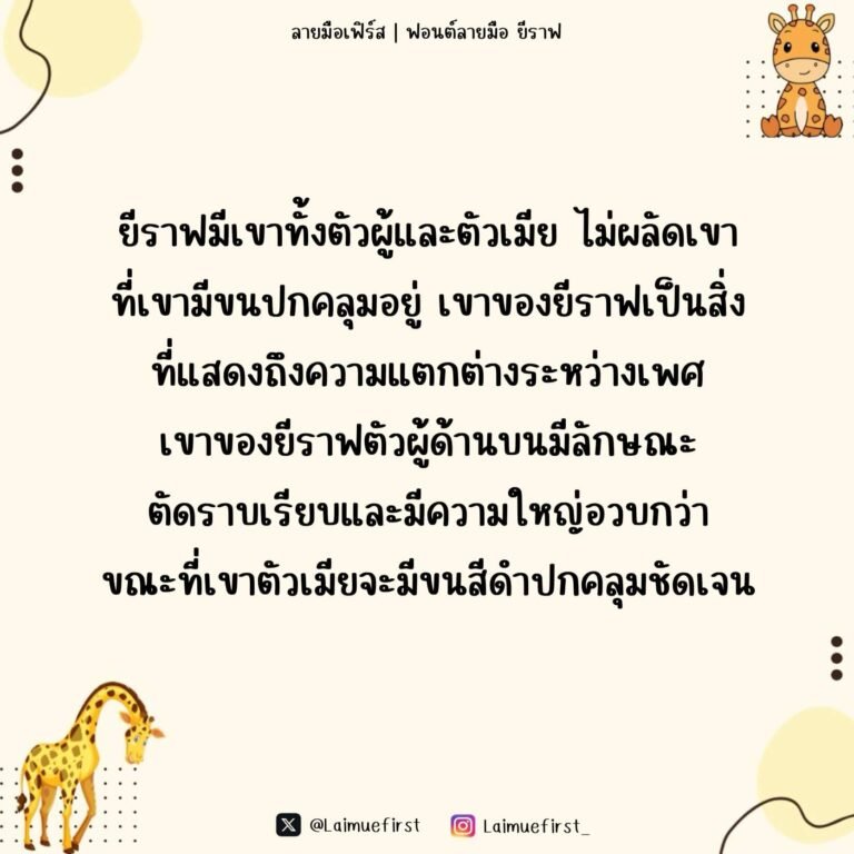 ยีราฟ (Giraffe)