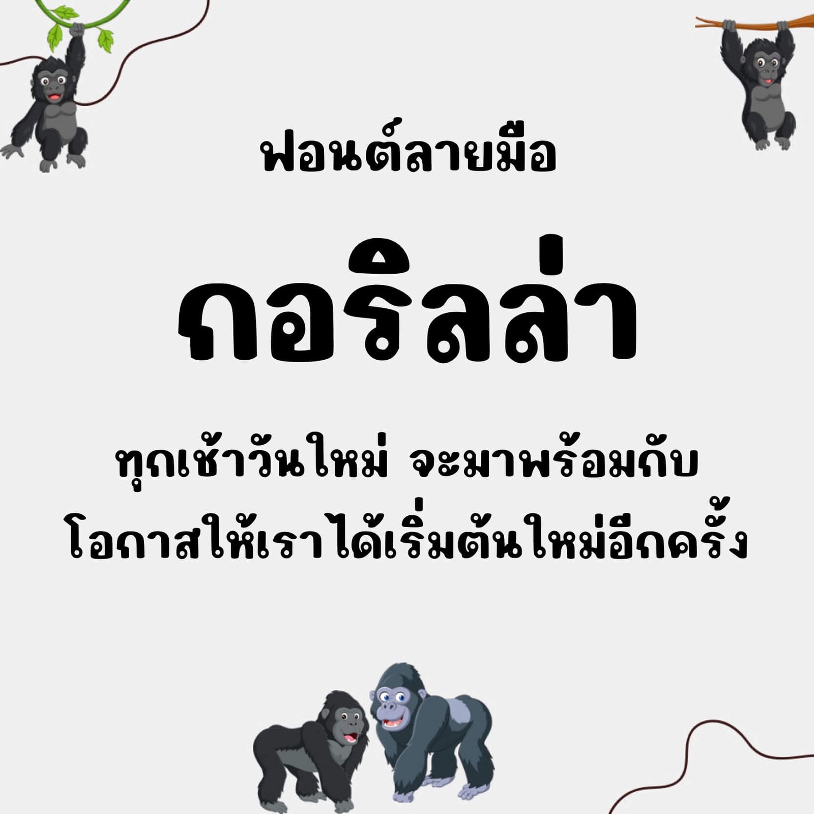 กอริลล่า (Gorilla)