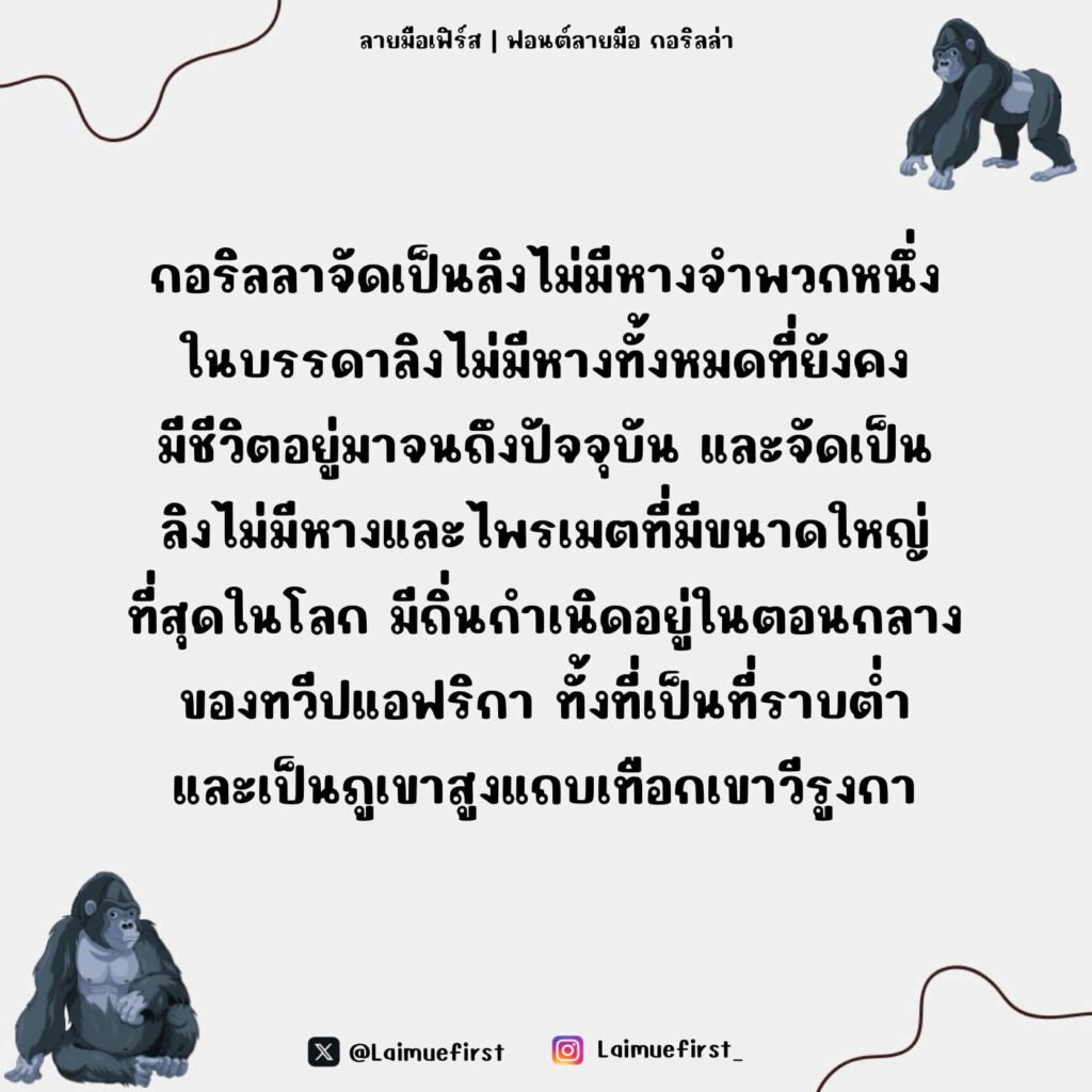 กอริลล่า (Gorilla)