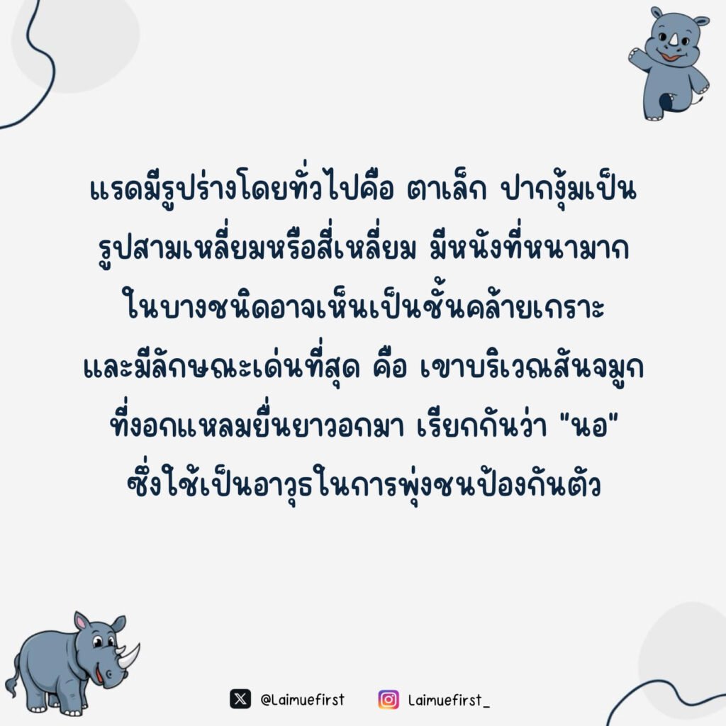 ไรโน (Rhino)