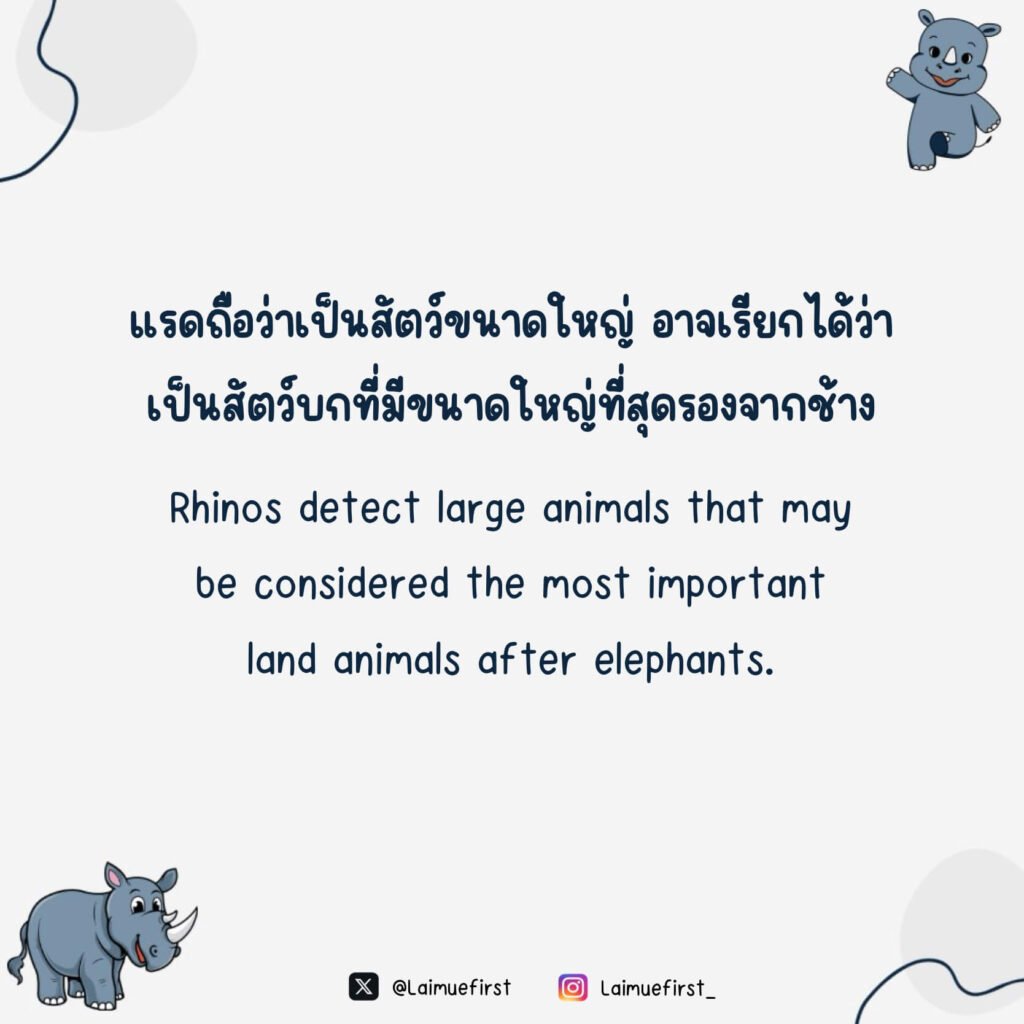 ไรโน (Rhino)