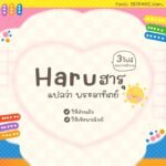 ฮารุ (287PANIHaru)