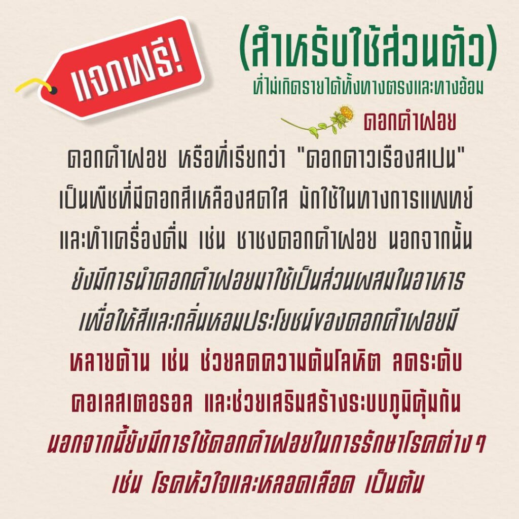 ดอกคำฝอย (MN Dok Khamfoi)