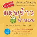 มะพร้าวน้ำหอม (MN Maphrao Namhom)