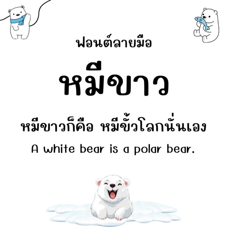 หมีขาว (Meekaow)