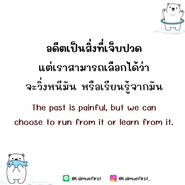 หมีขาว (Meekaow)