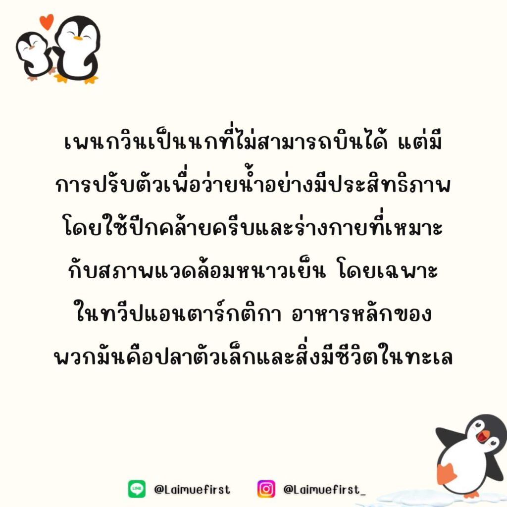 เพนกวิน (Penguin)