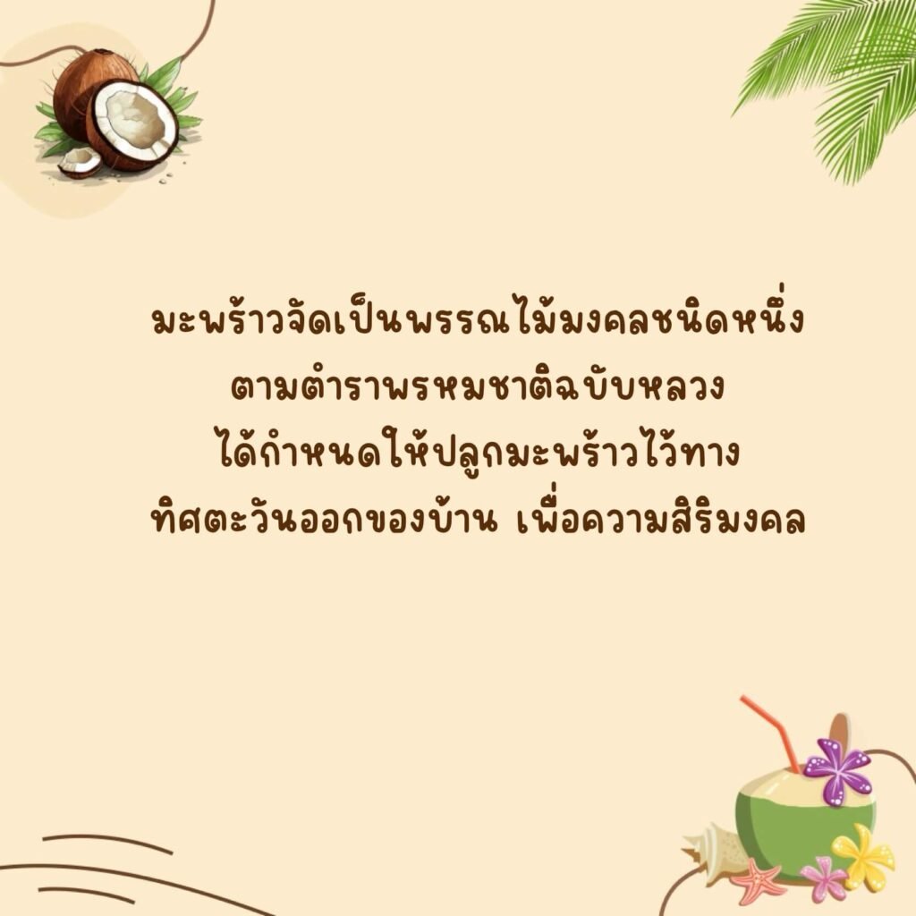 มะพร้าว (Maphao)