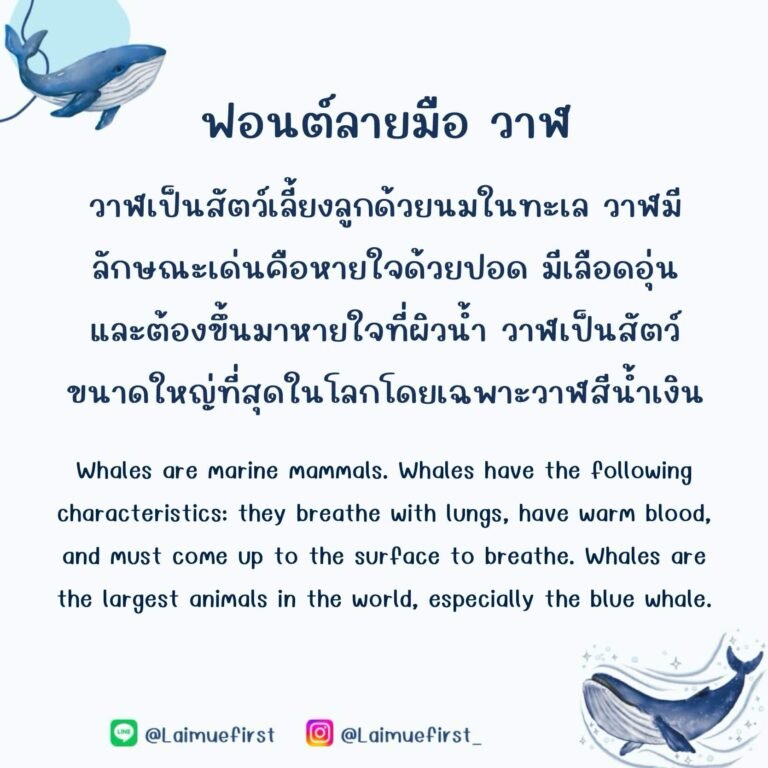 วาฬ (Whale)