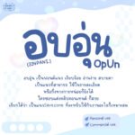 ฟอนต์ 334PANI.อบอุ่น (334PANIOpUn)